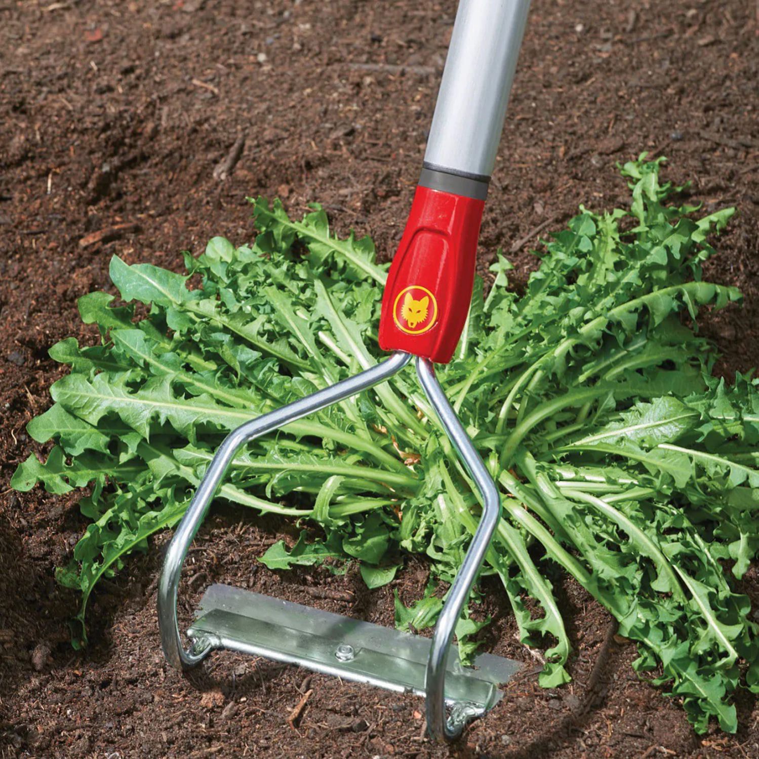 bow-weeder
