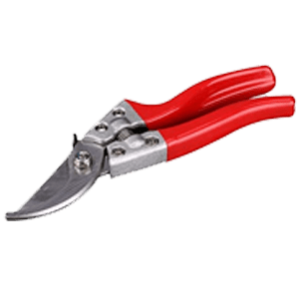 Secateurs