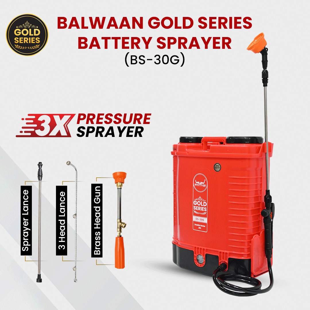 Double-Motor-Battery-Sprayer-pump