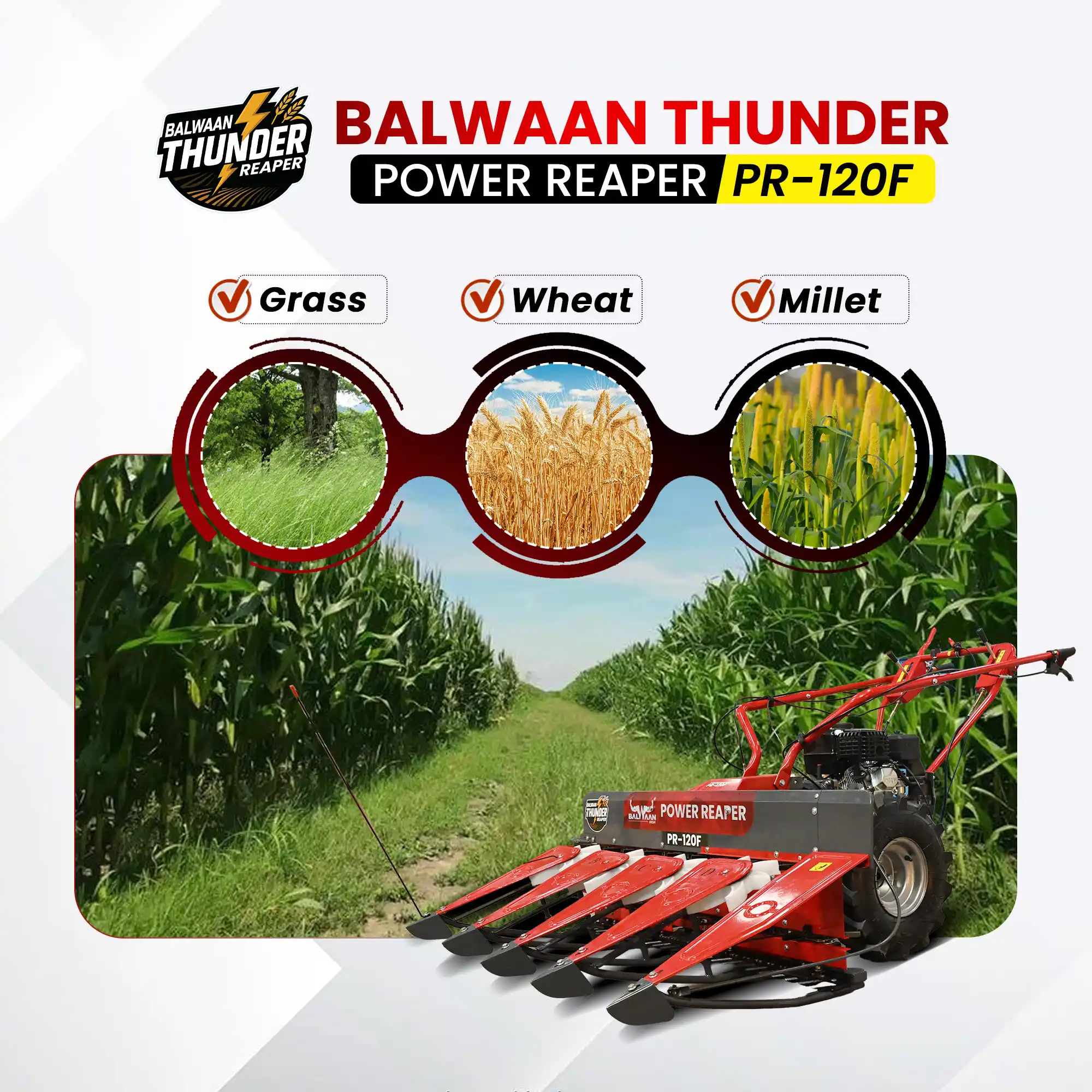 balwaan-power-reaper-for-wheat-rice-millet
